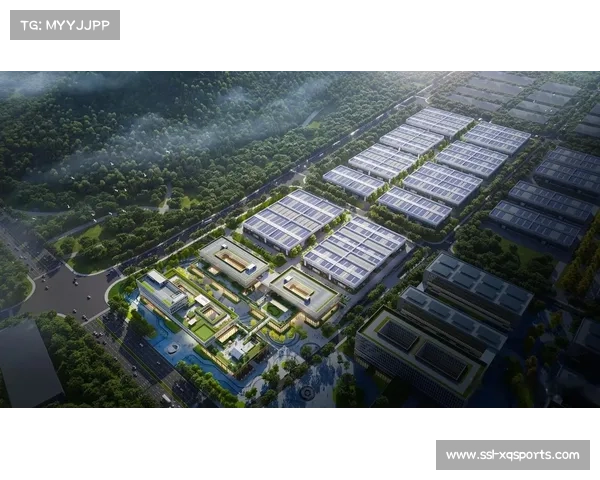 京山打造网球数智零碳产业园，目标百亿产业集群